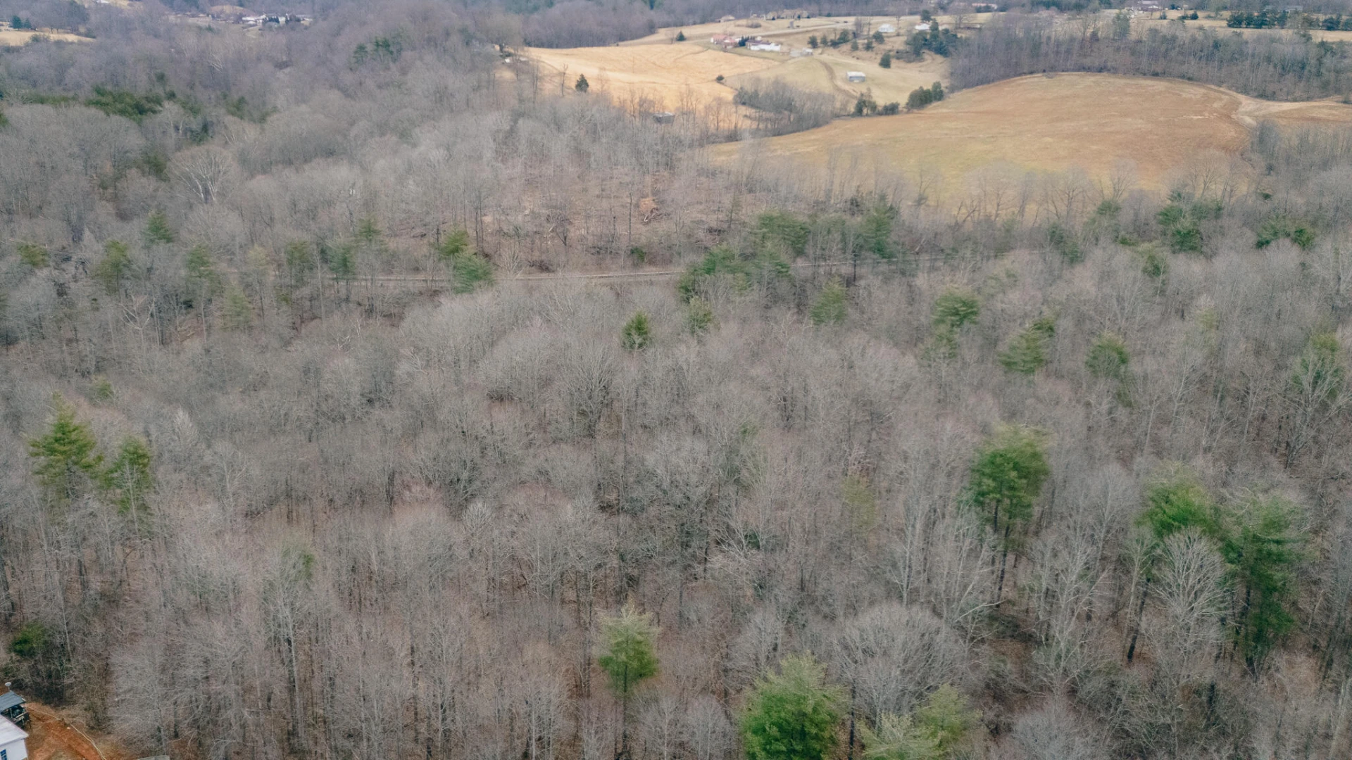 0 Pepper RD - Photo 9