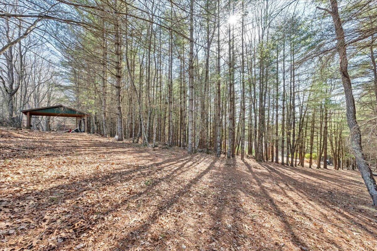 181 Borderline RD - Photo 46