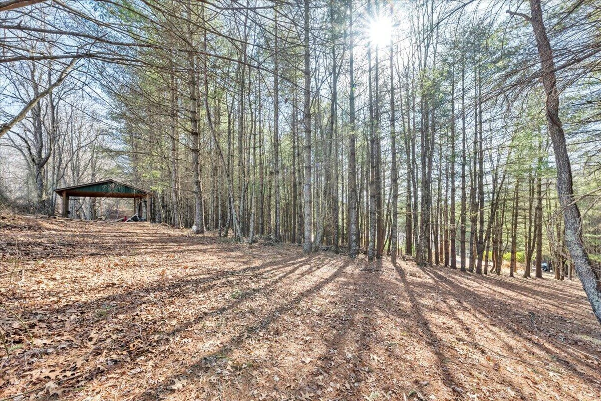 181 Borderline RD - Photo 47