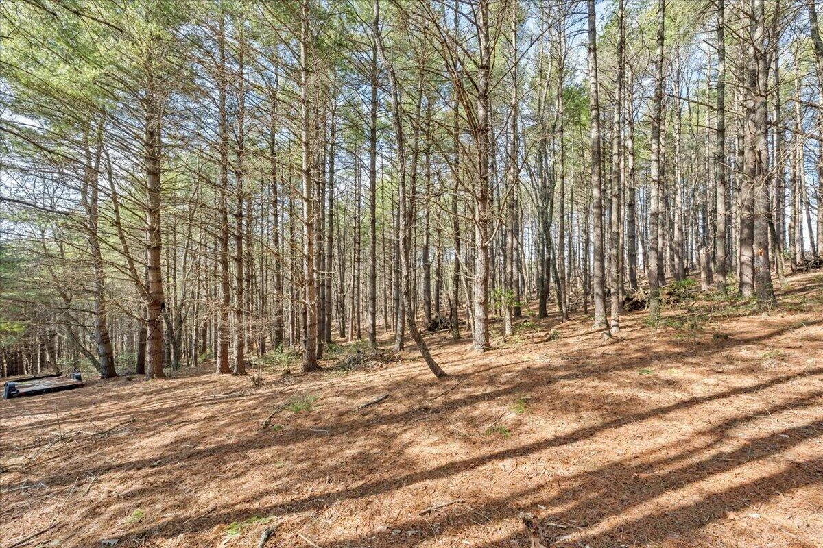 181 Borderline RD - Photo 48