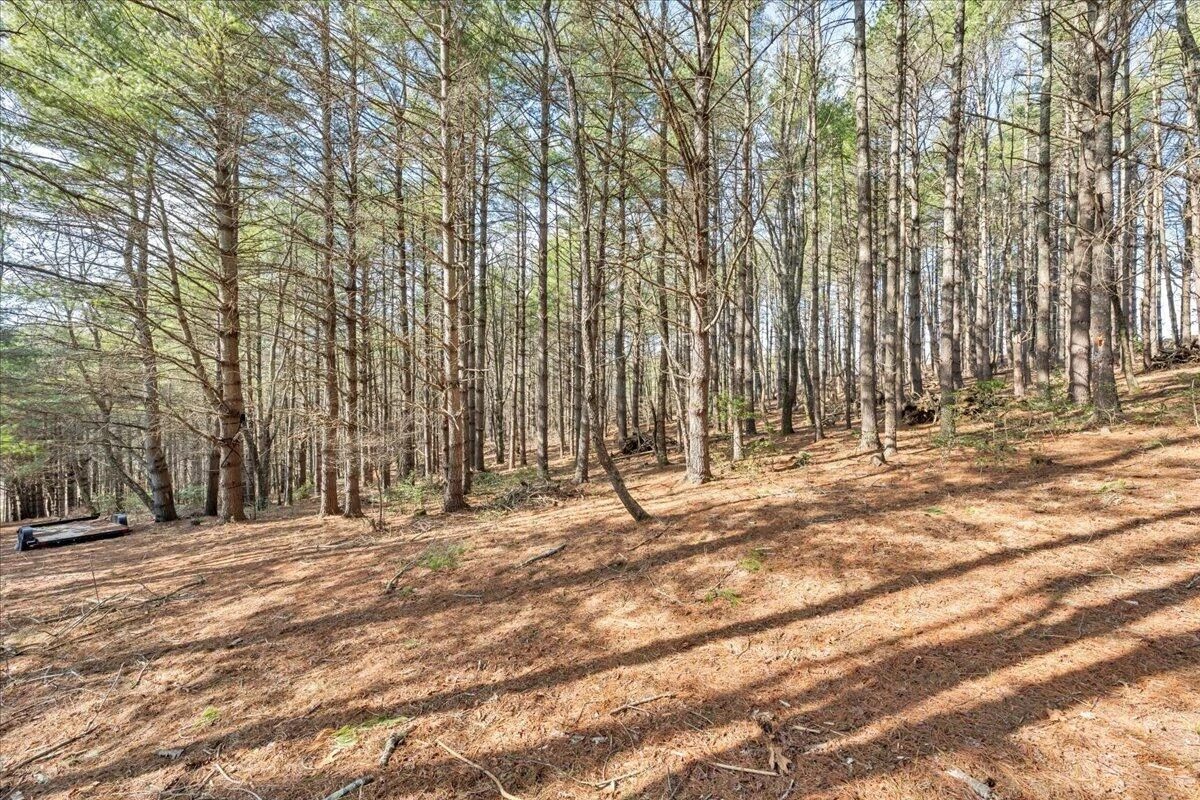 181 Borderline RD - Photo 49