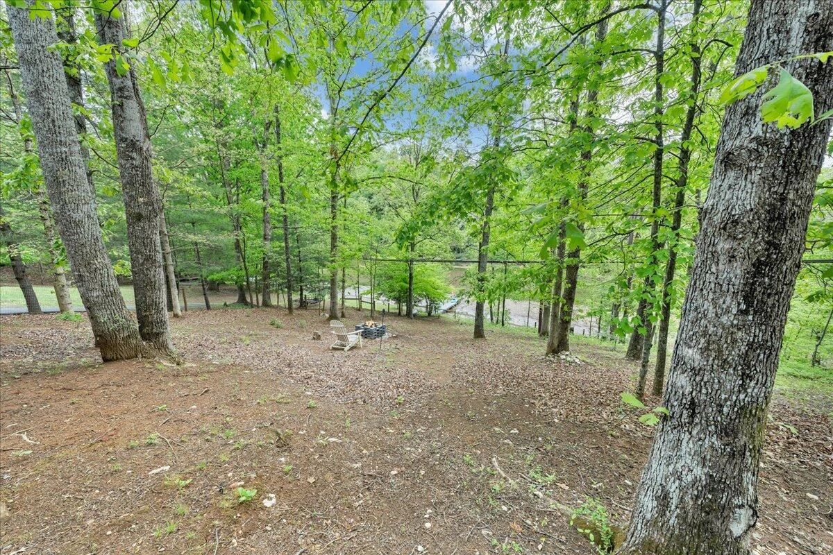101 Cedar Bluff LN - Photo 61