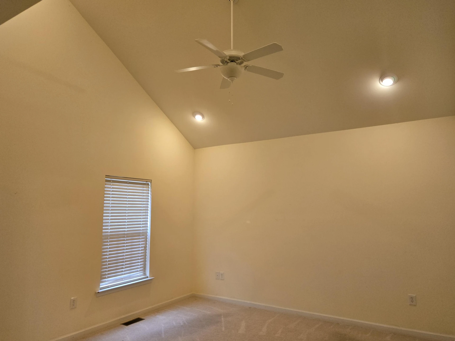 4301 William CT - Photo 17