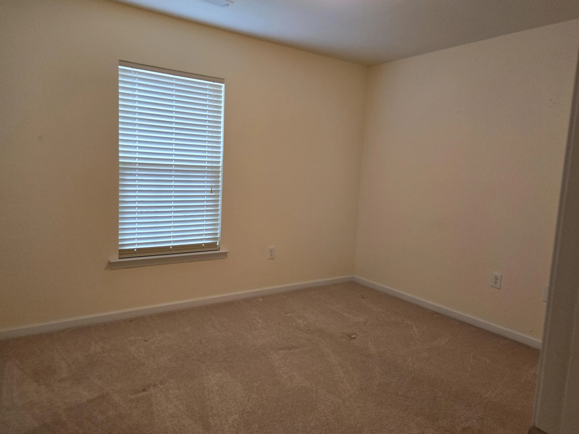 4301 William CT - Photo 23