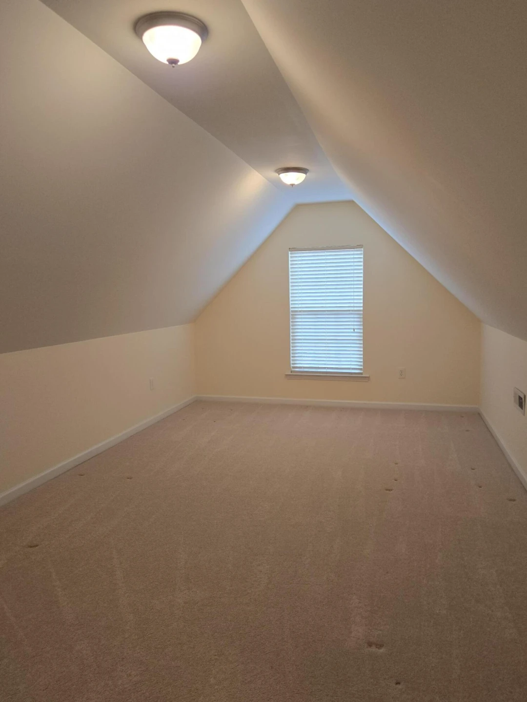 4301 William CT - Photo 28