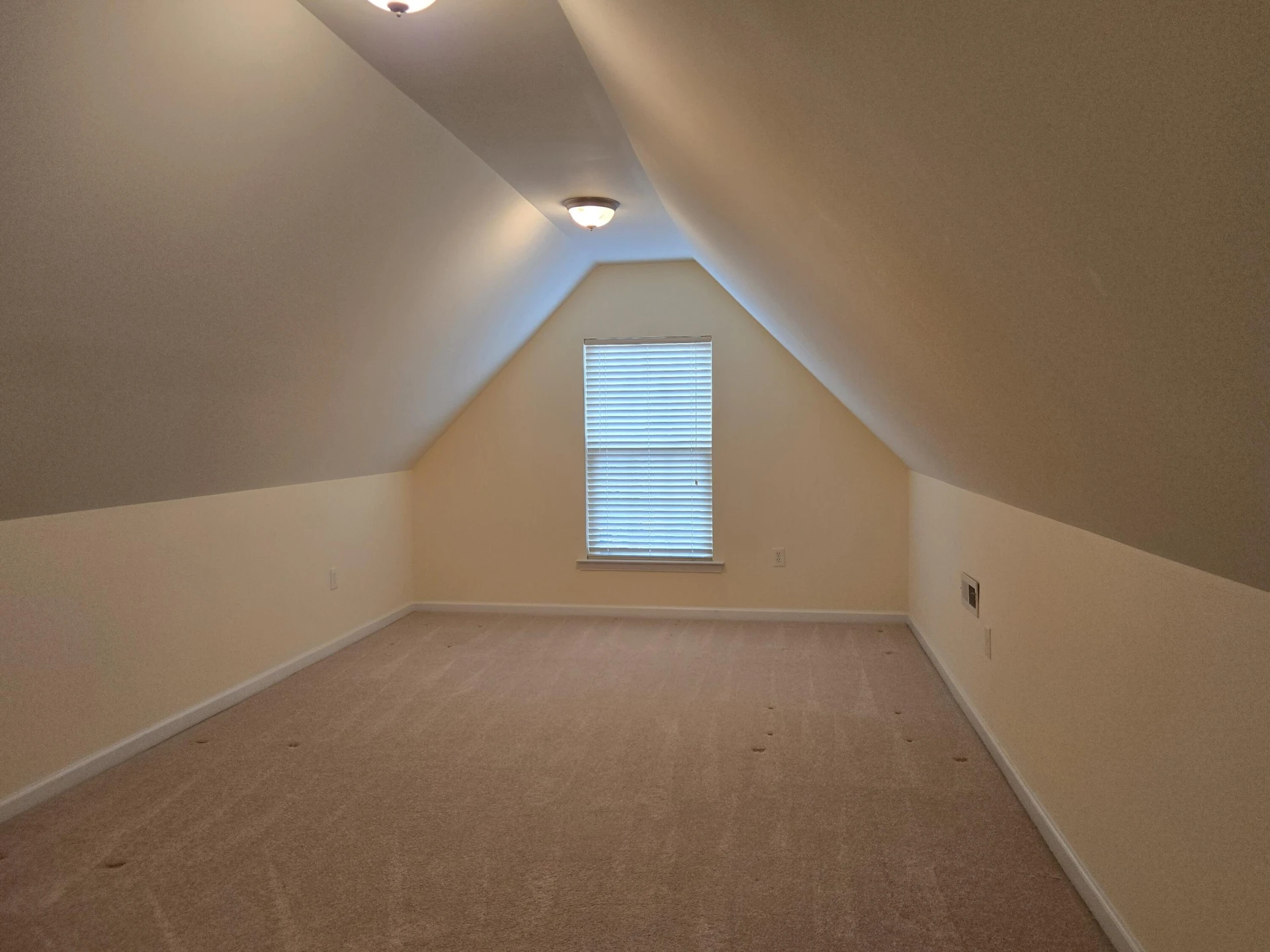 4301 William CT - Photo 29