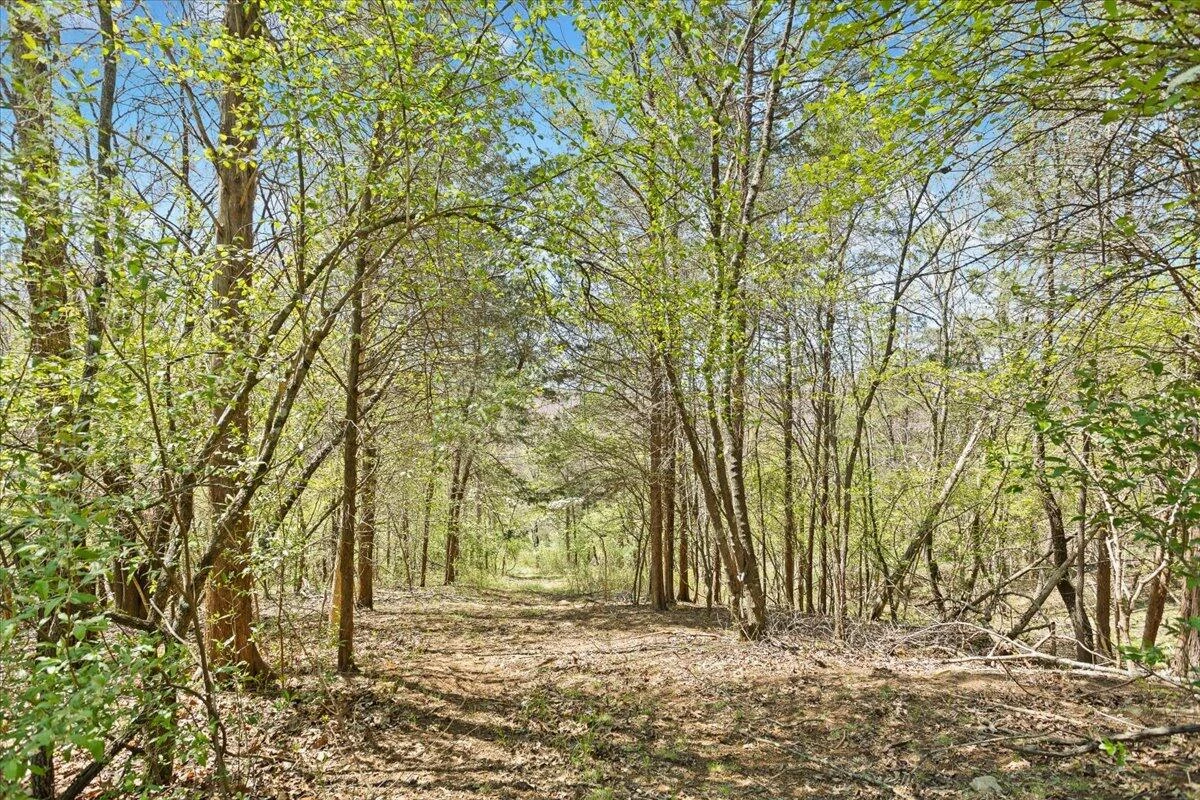 489 Arch Mill RD - Photo 55