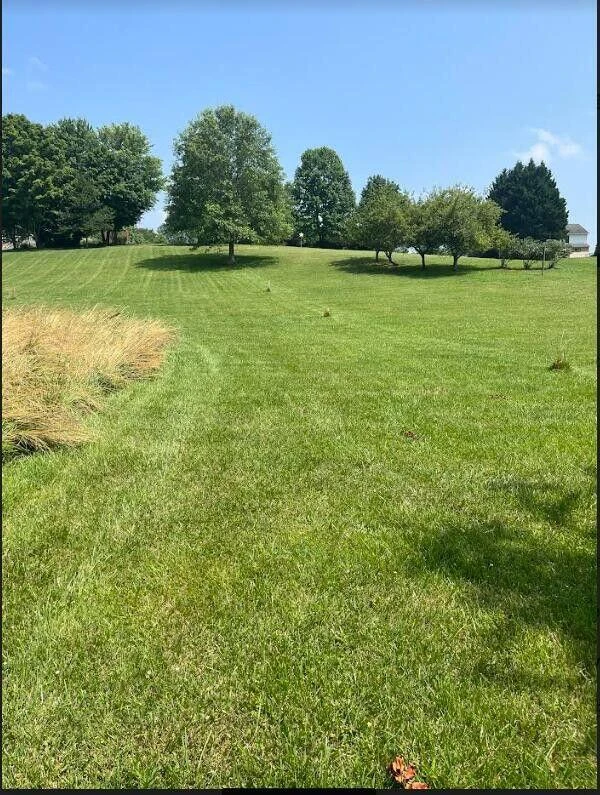0 Stewartsville RD - Photo 19