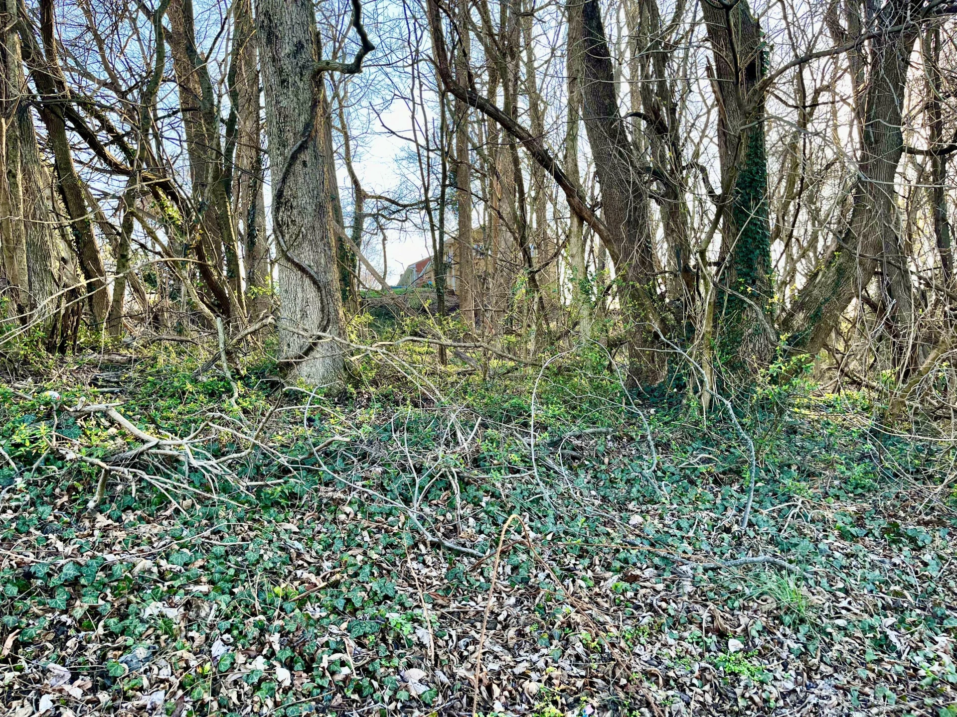 Lot 3, 4 Main ST - Photo 6