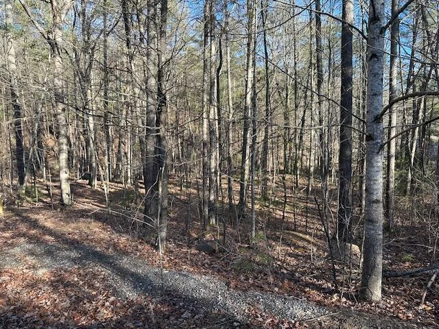 00 Hoot Owl RD