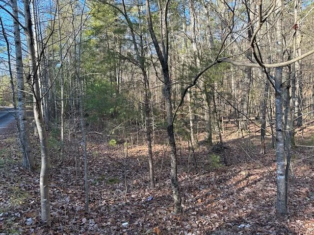 00 Hoot Owl RD - Photo 2
