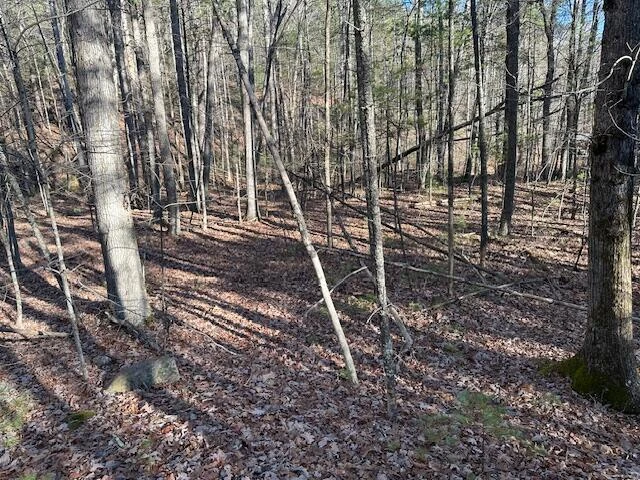 00 Hoot Owl RD - Photo 3