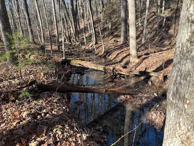 00 Hoot Owl RD - Photo 4