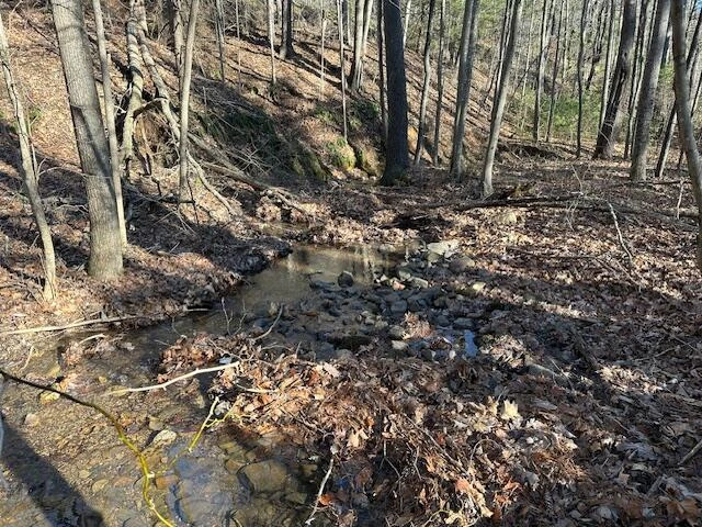 00 Hoot Owl RD - Photo 5