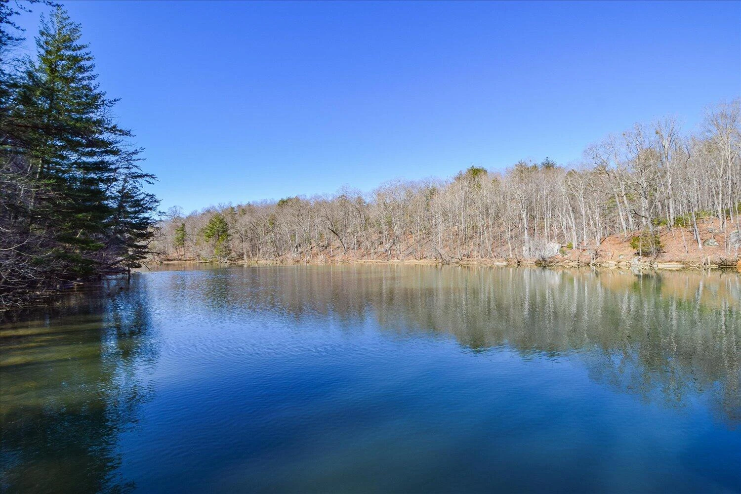 816 Lakeshore Terrace RD - Photo 56