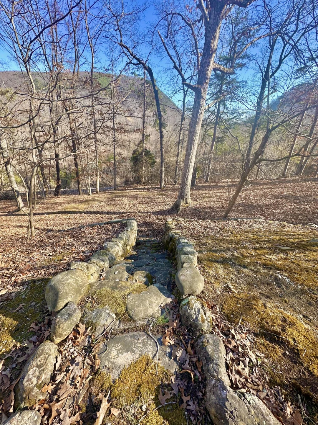 1029 Cliftwood CIR - Photo 8