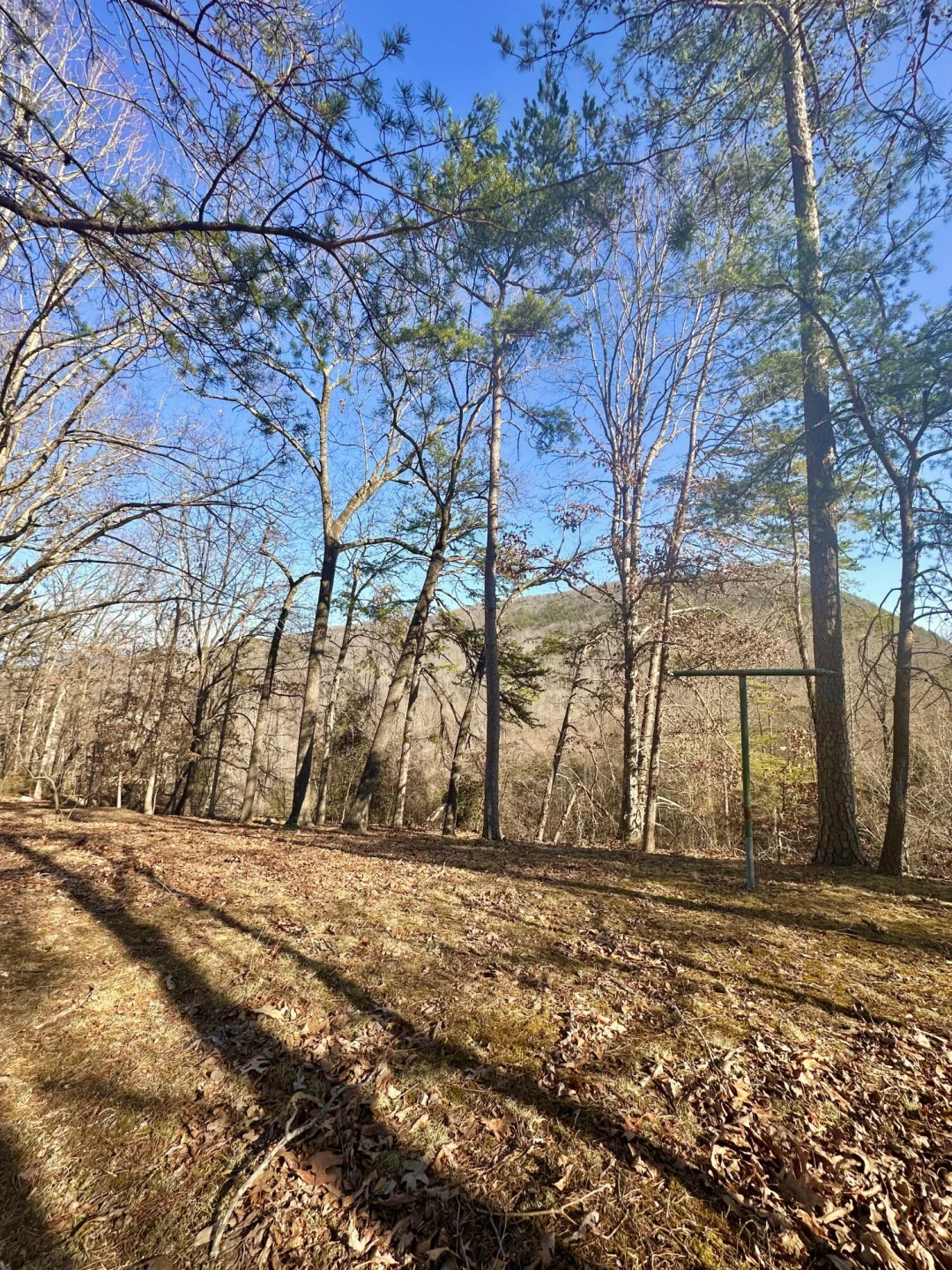 1029 Cliftwood CIR - Photo 9