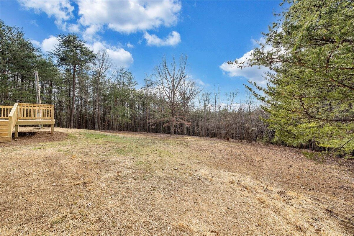 1681 Blue Knob RD - Photo 36