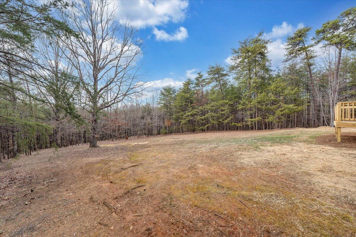 1681 Blue Knob RD - Photo 37