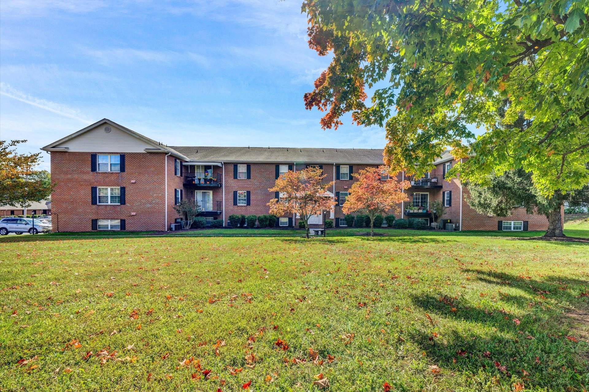 3531 Peters Creek RD #302