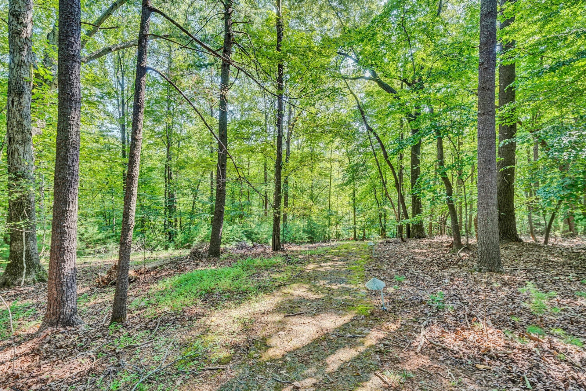 635 Miriam Hill DR - Photo 51
