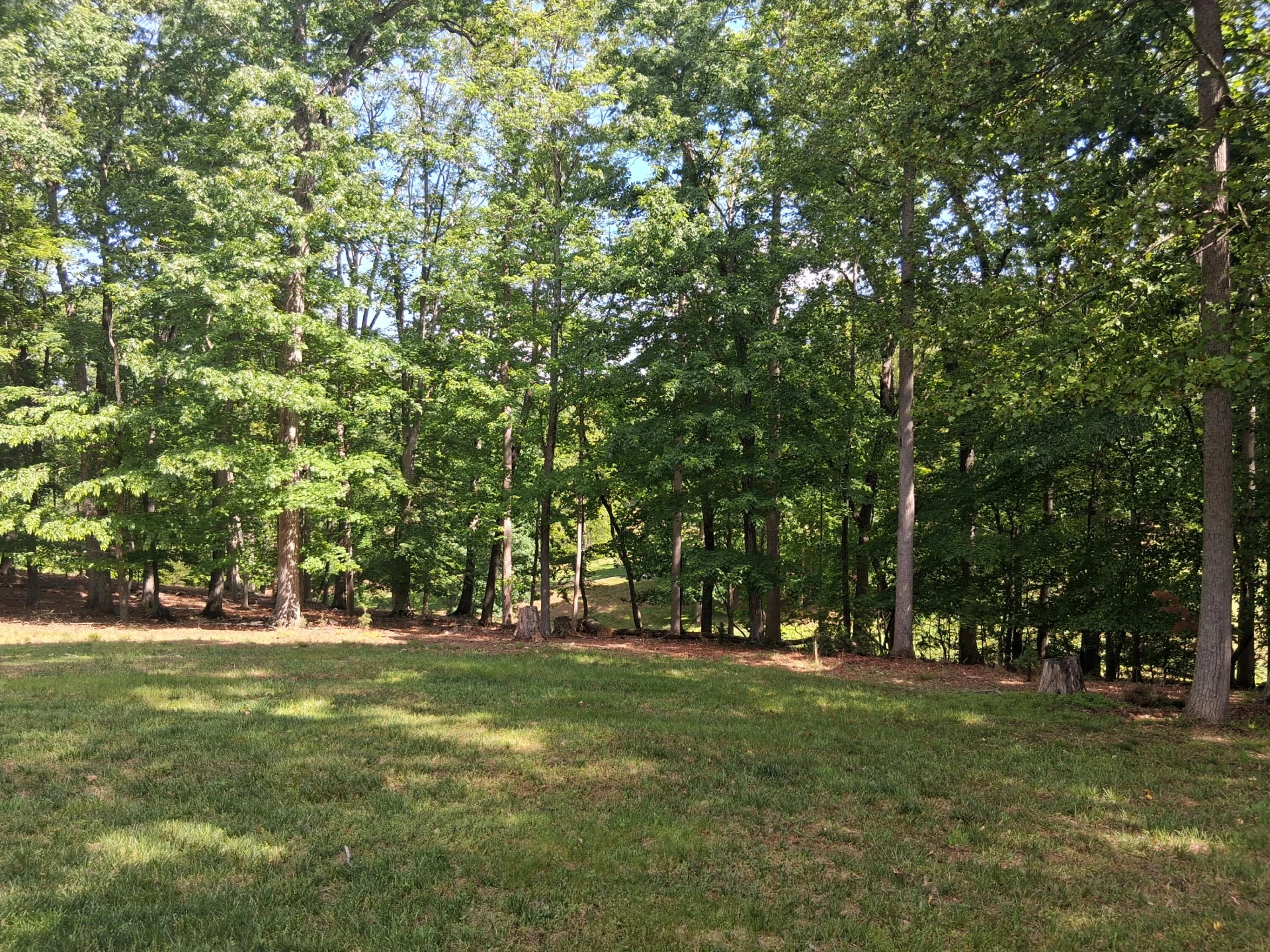 160 Galley DR - Photo 39