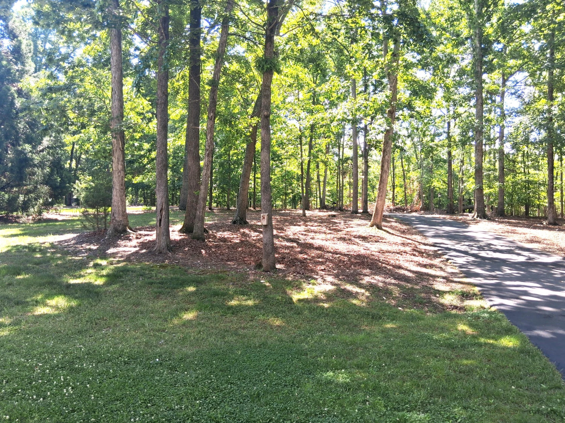 160 Galley DR - Photo 40