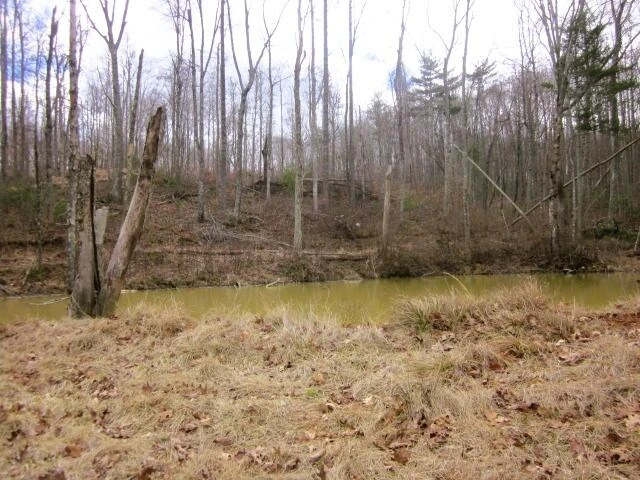 428 AGNES LN - Photo 5