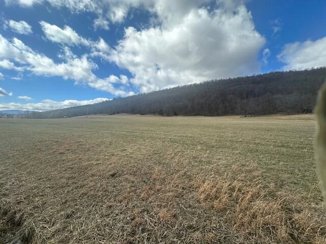 Lot 37 Johns Creek RD - Photo 2