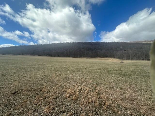 Lot 37 Johns Creek RD - Photo 3