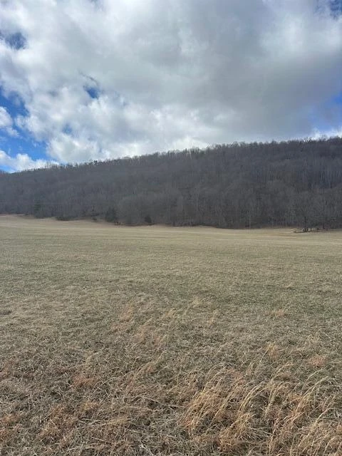 Lot 37 Johns Creek RD - Photo 4