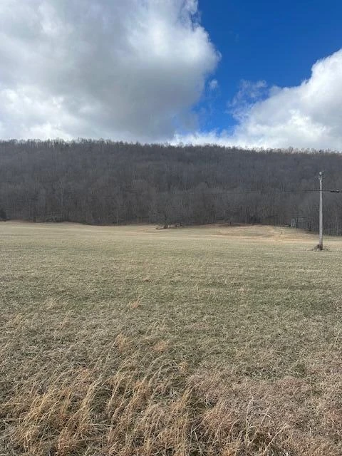Lot 37 Johns Creek RD - Photo 5
