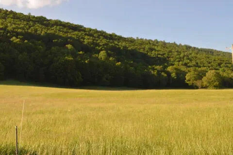Lot 37 Johns Creek RD - Photo 6