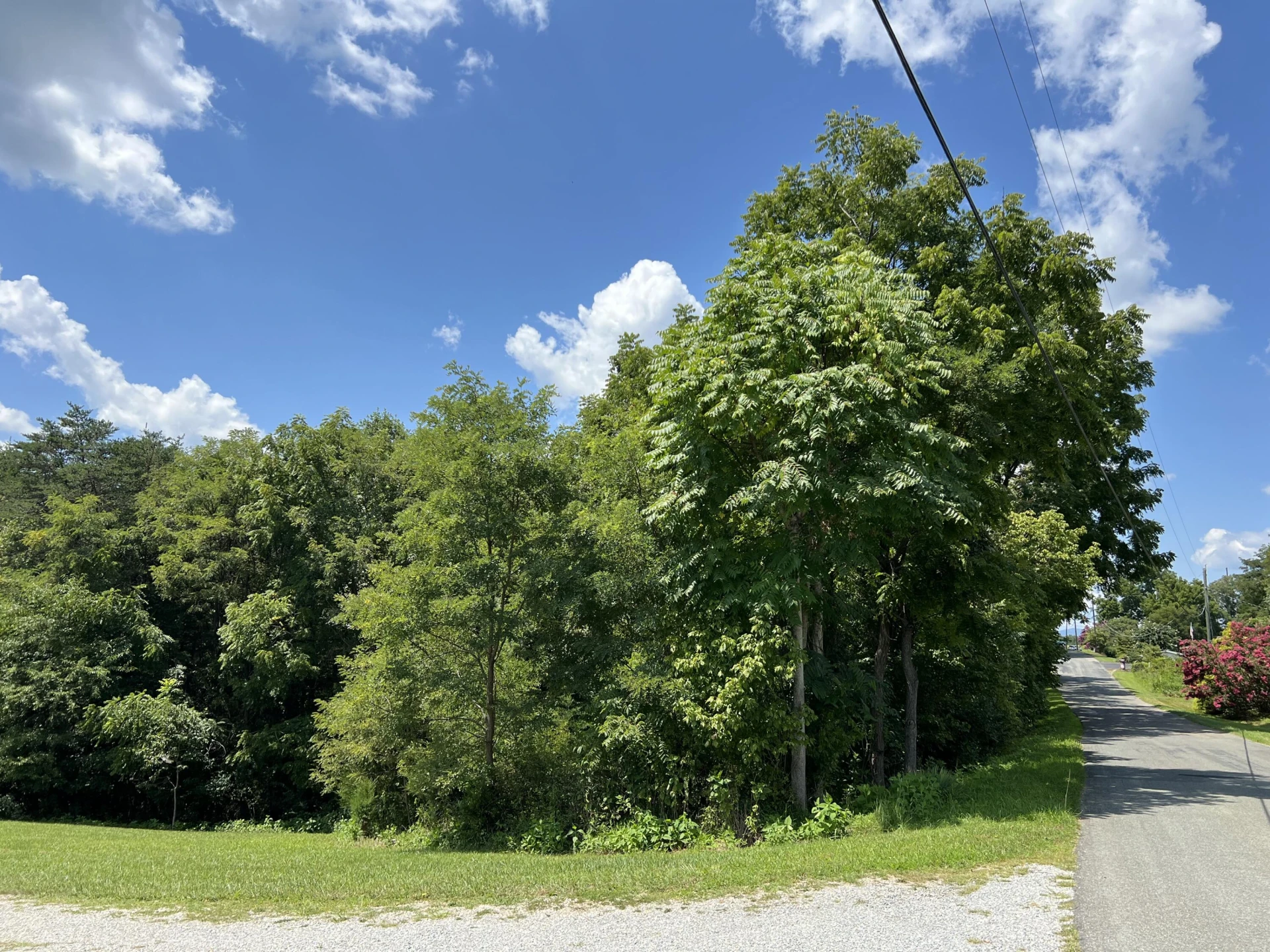 0 Lot 5 Black Rock RD - Photo 4