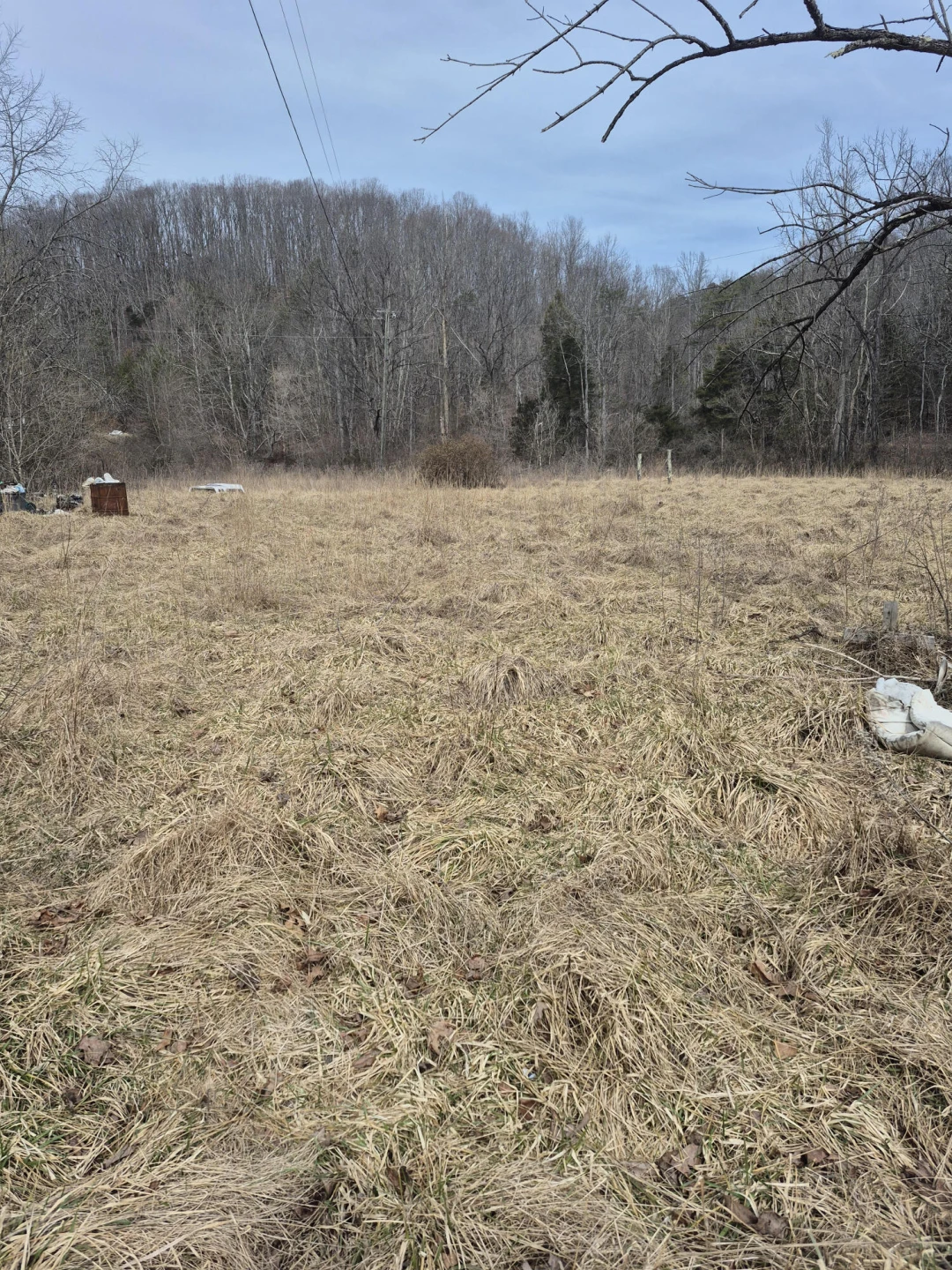 1075 Lithia RD - Photo 4