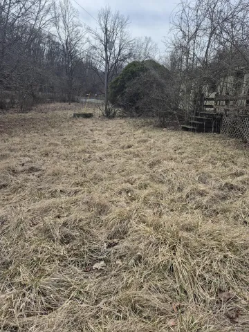 2201 Lithia RD, Buchanan, VA, 24066