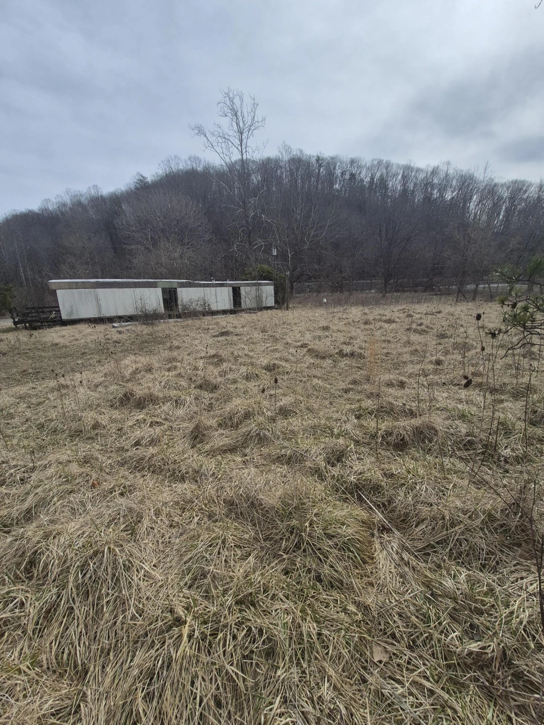 2201 Lithia RD - Photo 3