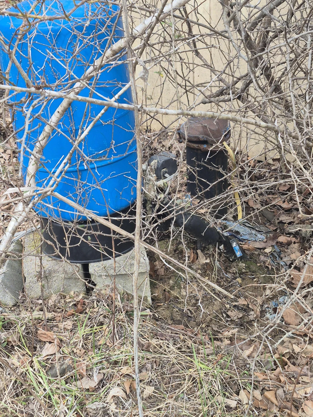 2201 Lithia RD - Photo 4