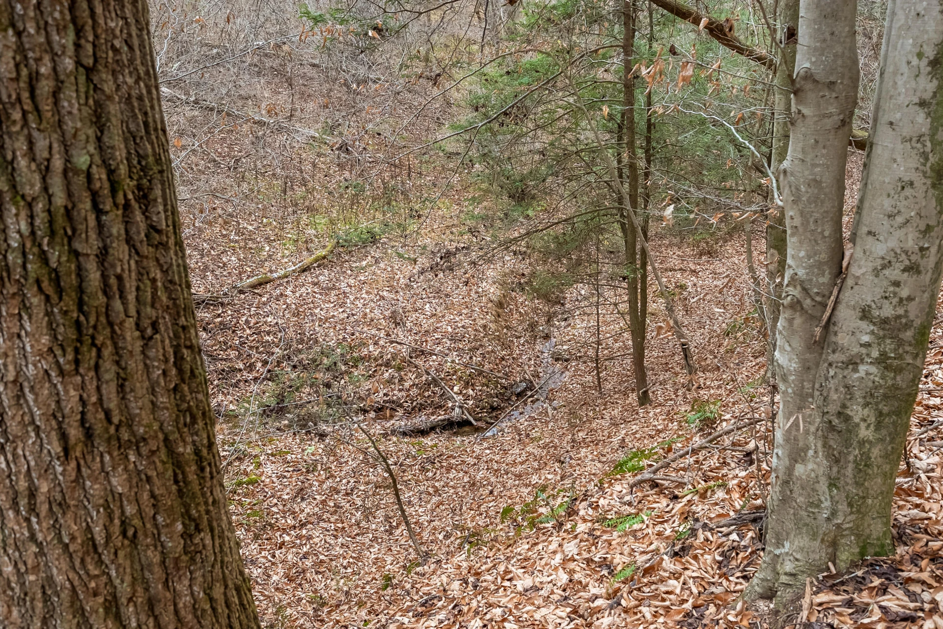 391 Airport RD - Photo 36