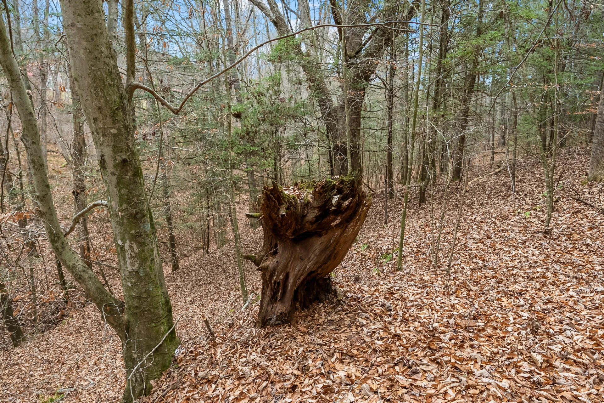 391 Airport RD - Photo 37