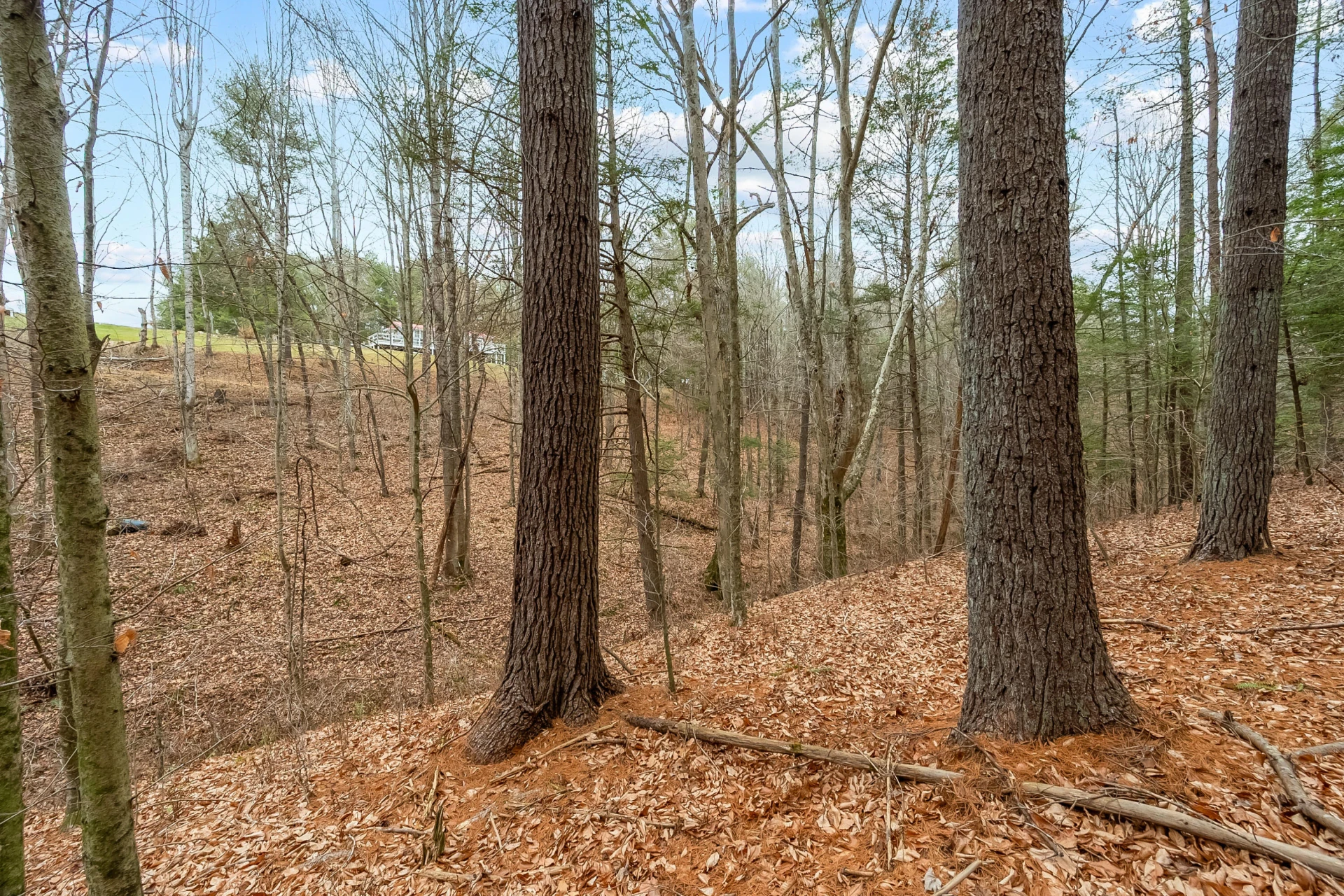 391 Airport RD - Photo 39