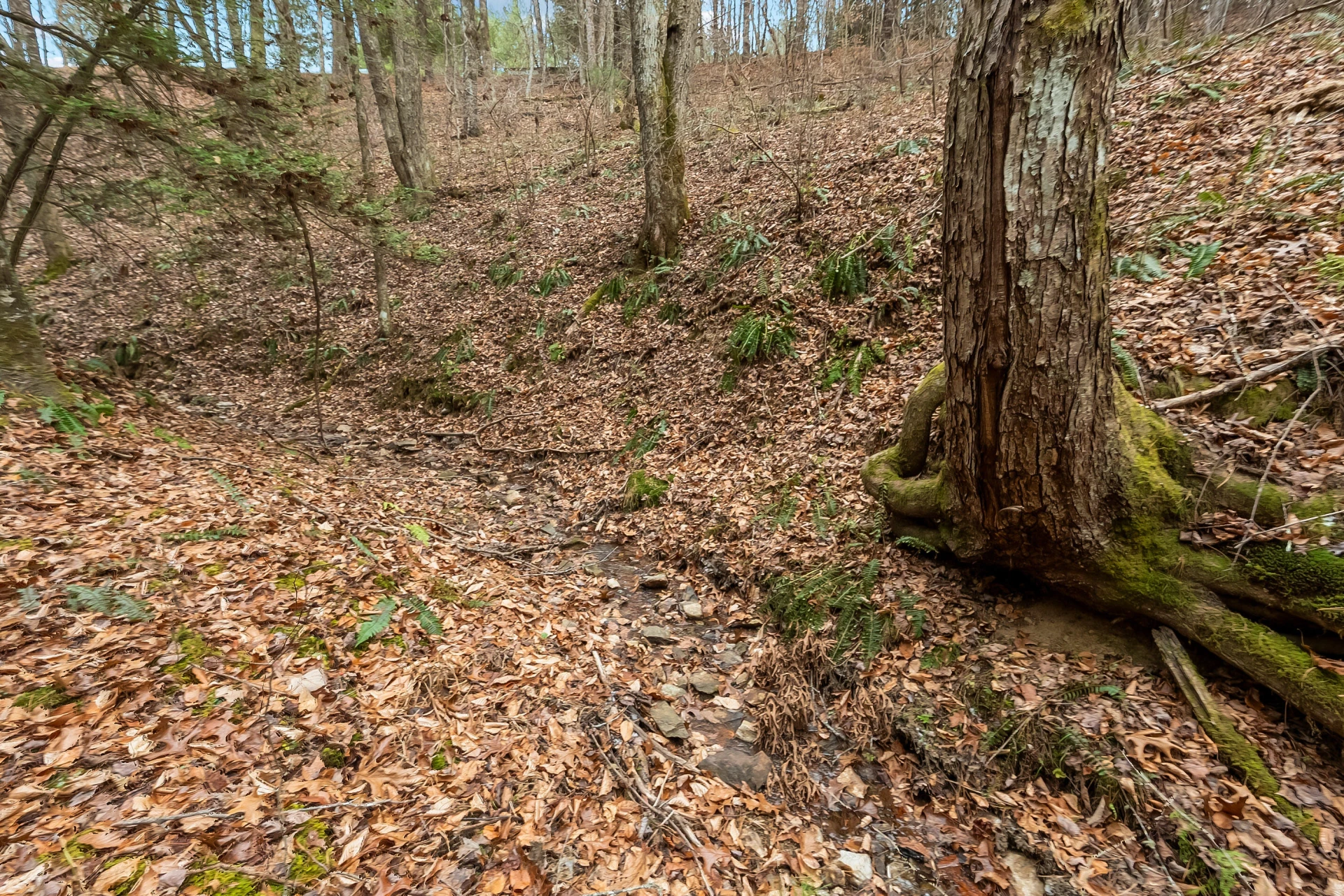 391 Airport RD - Photo 40