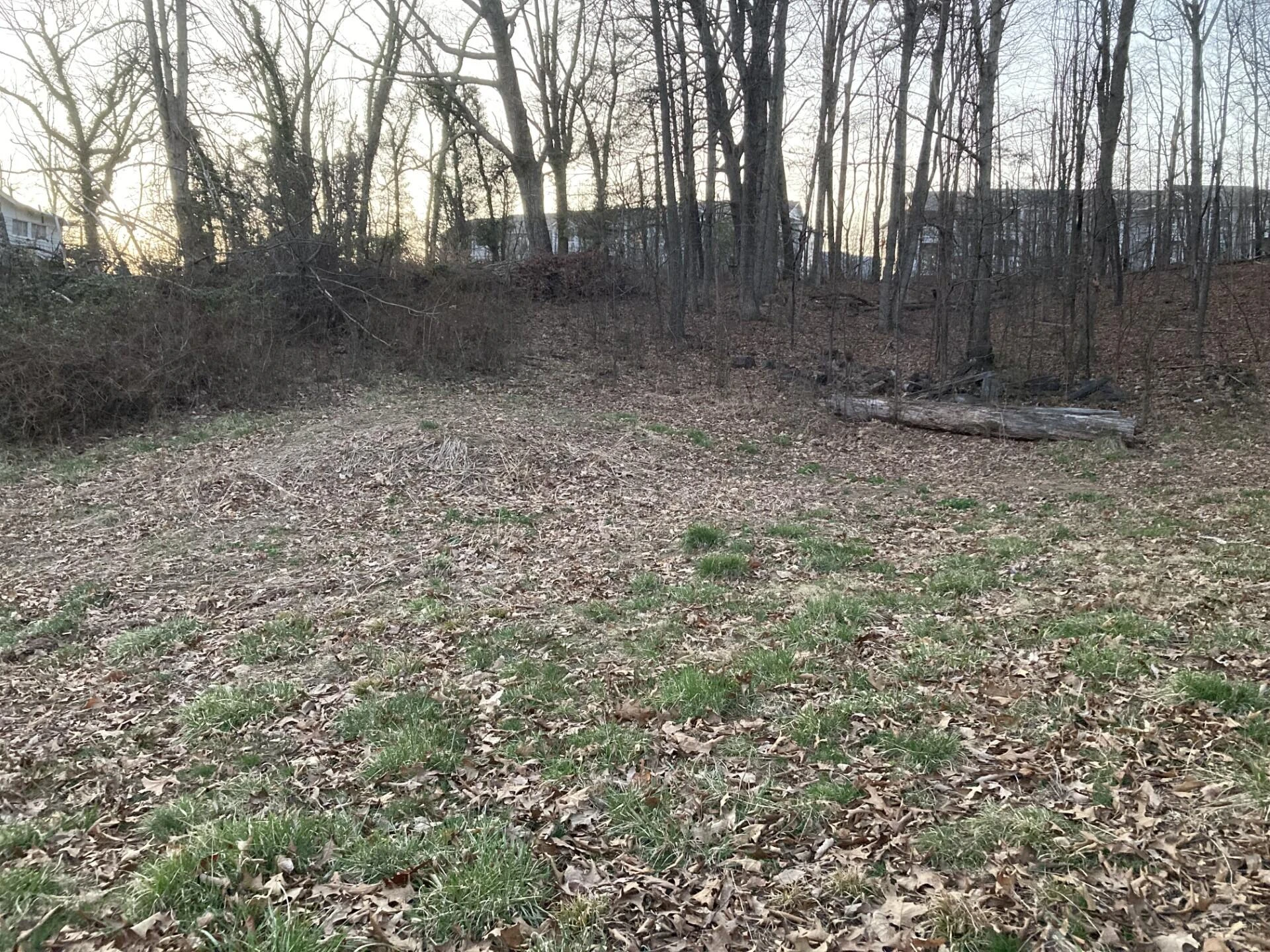 0 Plain View AVE