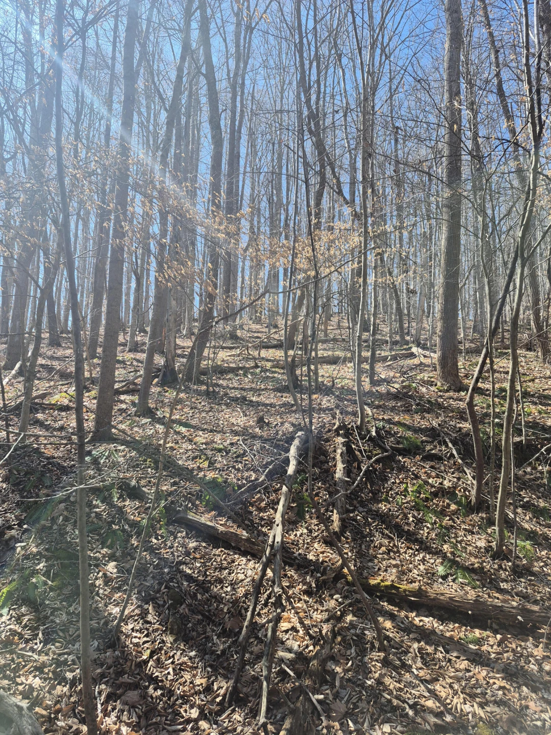 0 Walkers DR - Photo 2