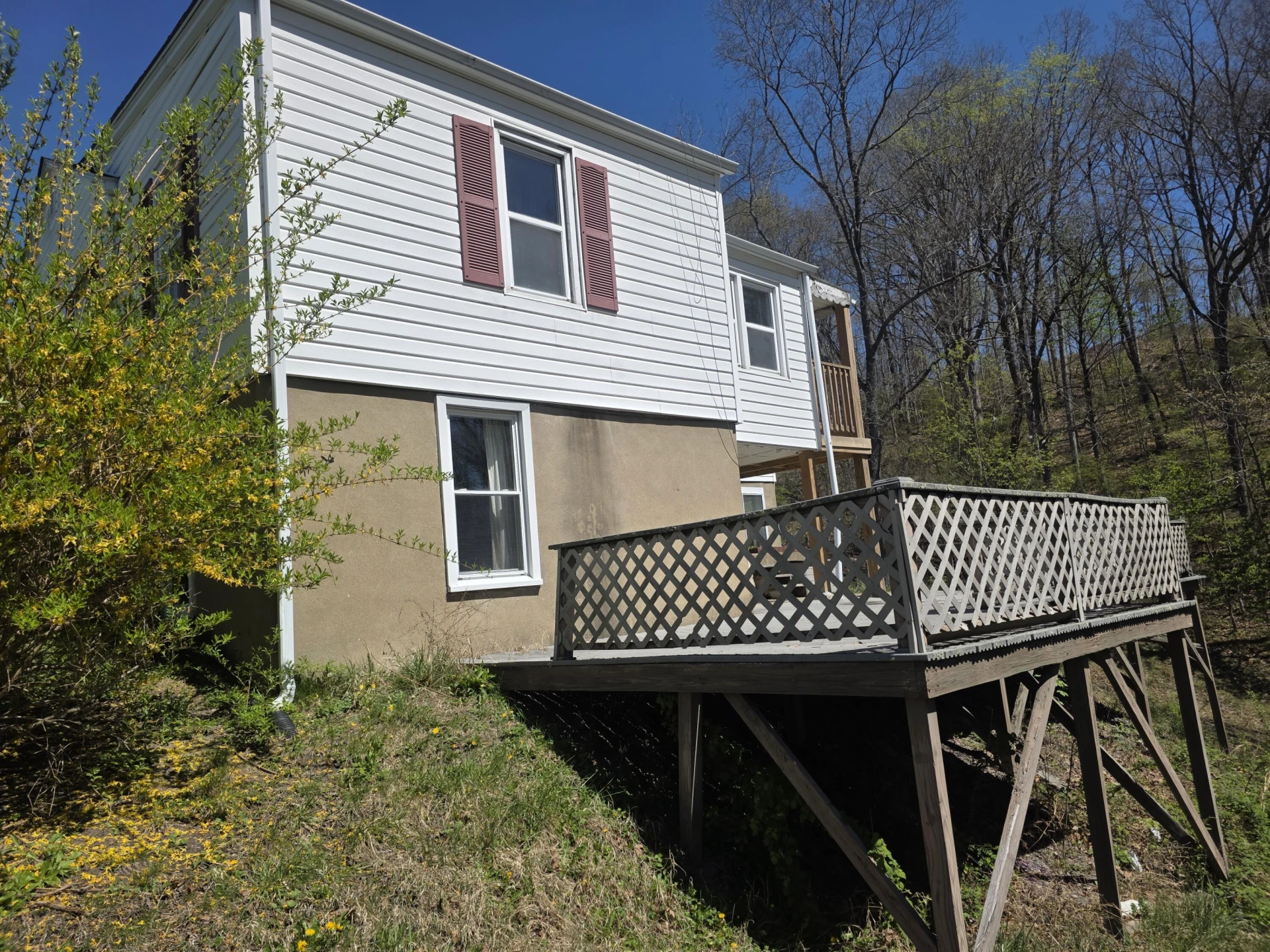 631 Kline ST - Photo 4