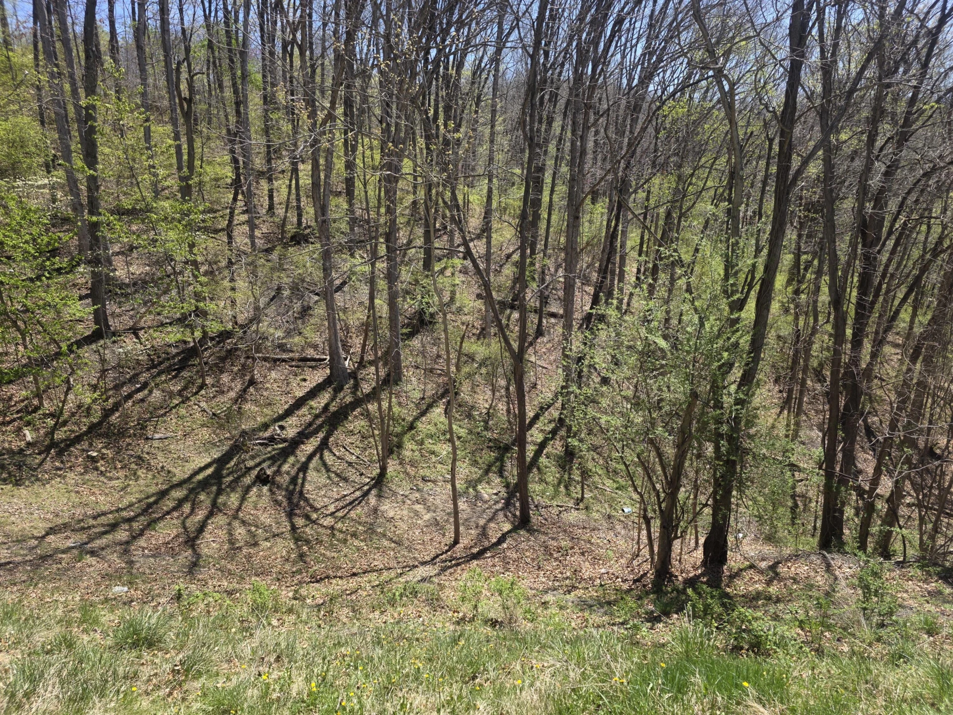 631 Kline ST - Photo 7