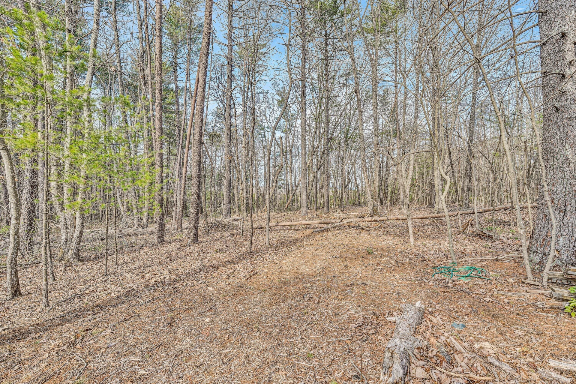 1427 Truman Hill RD - Photo 56