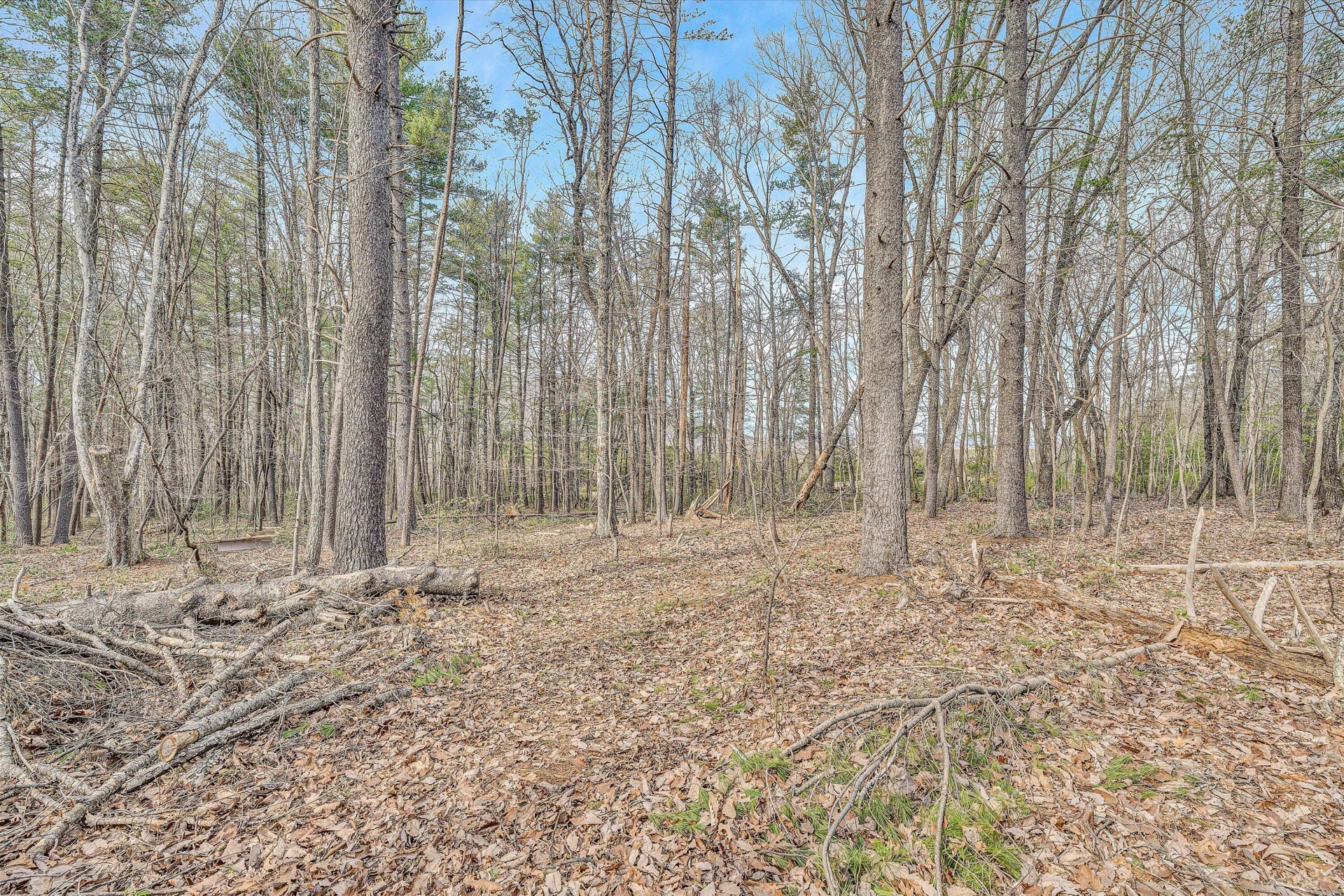 1427 Truman Hill RD - Photo 57