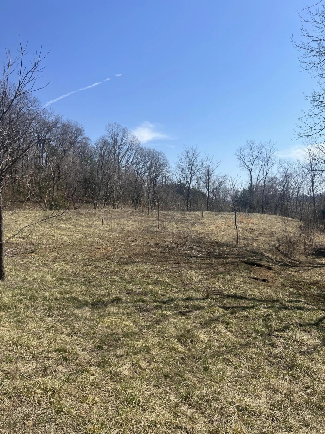 0 Gravel Hill RD - Photo 3