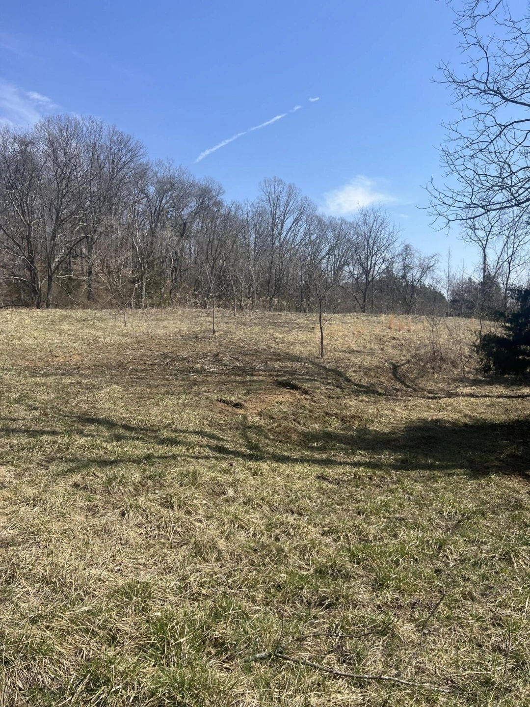0 Gravel Hill RD - Photo 4